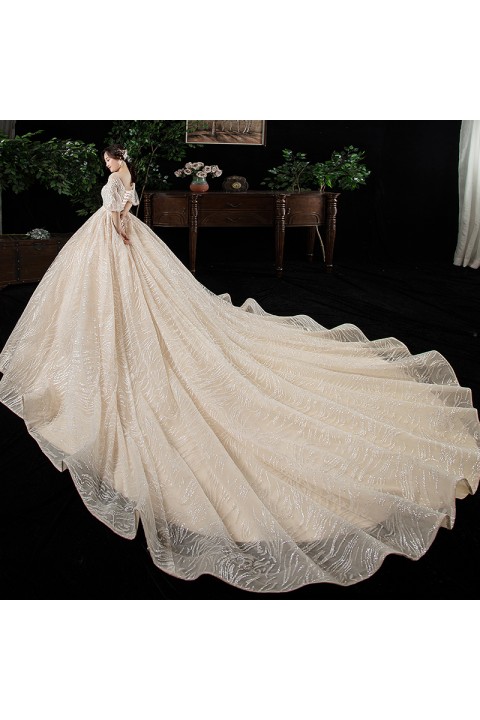 Plus Size 2021 Round Neck Short Puff Sleeves Gorgeous Emboridered Flower Shiny Tulle Wedding Dress With Long Train