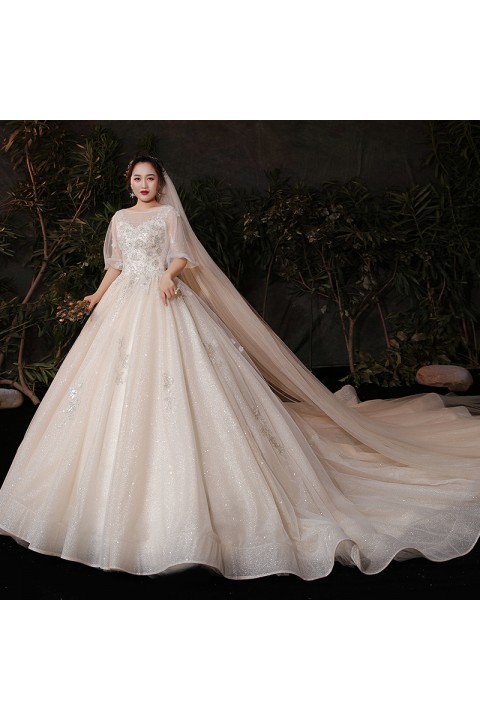 Plus Size 2021 Round Neck Puff Sleeves Beaded Embroidered Flower Tulle Wedding Dress With Long Train