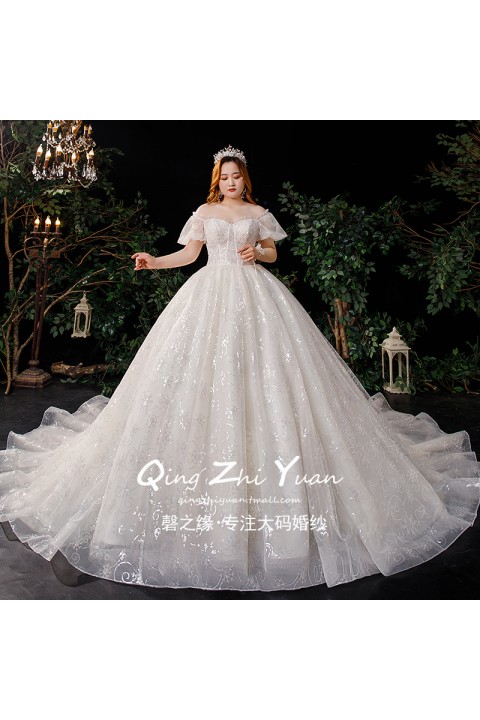 Plus Size 2021 New Puff Sleeves Sequins Decor Tulle Wedding Dress With Long Train