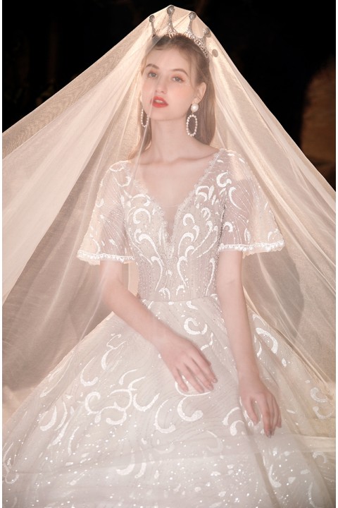 New 2021 Delicate Deep V-neck Short Sleeves Beaded Decor Fantasy Embroidered Tulle Wedding Dress With Long Train
