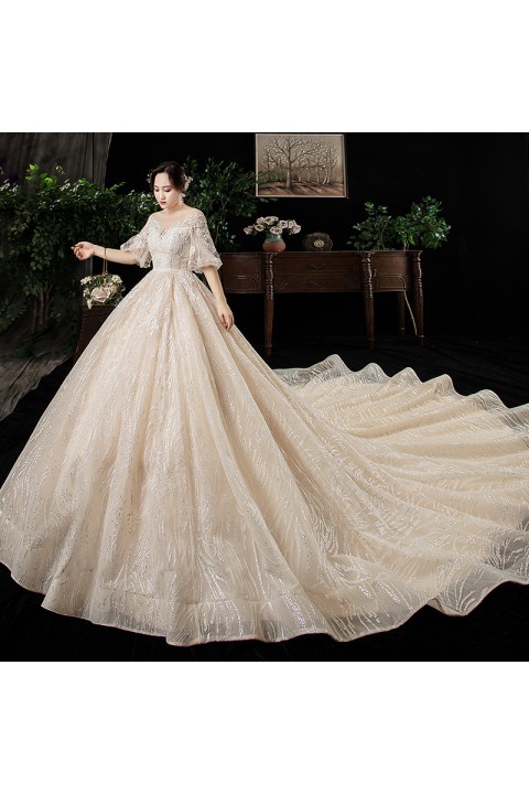Plus Size 2021 Round Neck Short Puff Sleeves Gorgeous Emboridered Flower Shiny Tulle Wedding Dress With Long Train