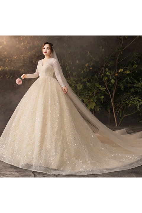 Plus Size 2021 Deep V-neck Long Sleeves Beaded Lace Flower Glitter Tulle Wedding Dress With Long Train