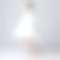 White Cap Sleeves Princess Tulle Skirt Flower Girl Dresses With Short Front And Long Back