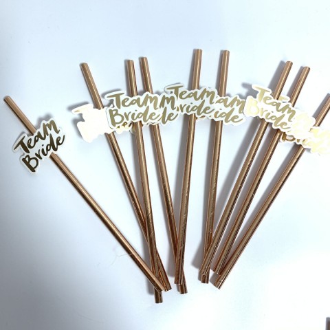 Team Bride Bachelorette Party Straws - 10 Pack