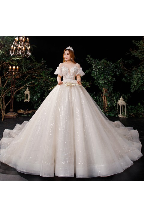 Plus Size 2021 New Deep V-Neck Flower Embroidered Tulle Wedding Dress With Long Train