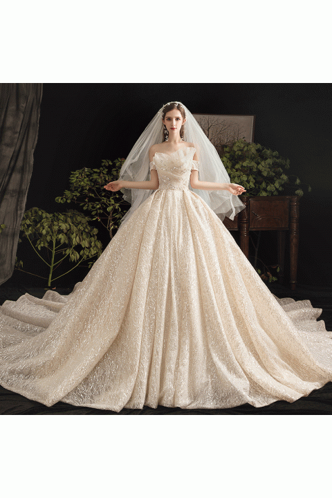 New 2021 Off Shoulder Beaded & Sequin Decor Tulle Wedding Dress With Long Train