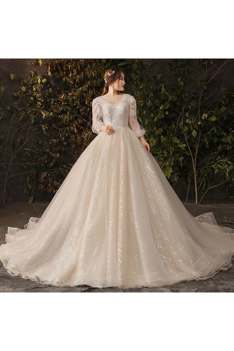 Plus Size 2021 Deep V-neck Long Tulle Sleeves Sequined Decor Emboridered Flower Tulle Wedding Dress With Long Train