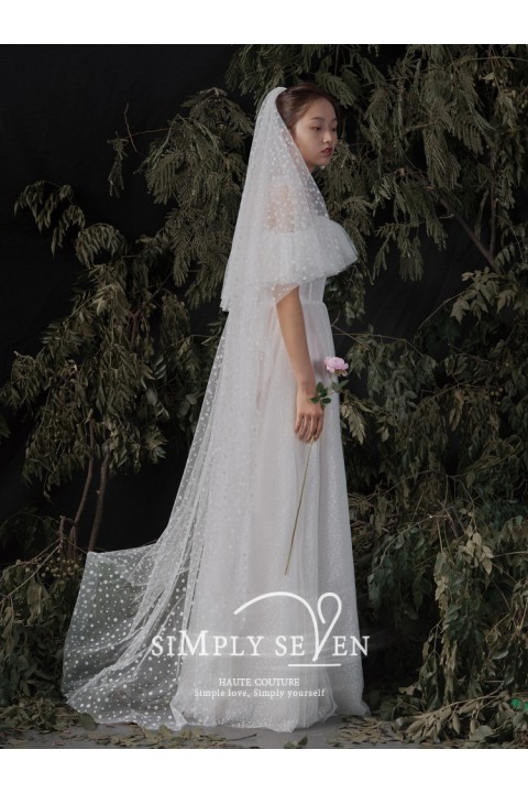 Polka Dot Mesh Long Wedding Veil 