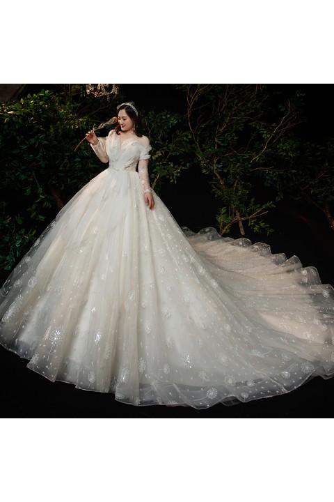 Plus Size 2021 Off Shoulder Long Sleeves Beaded Decor Embroidered Flower Tulle Wedding Dress With Long Train