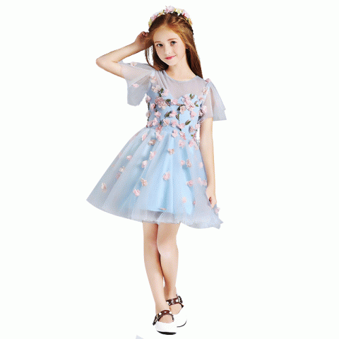 Sky Bule Round Neck Cap Sleeve Flowers Shape Decor Tulle Skirt Girls Pageant Dresses