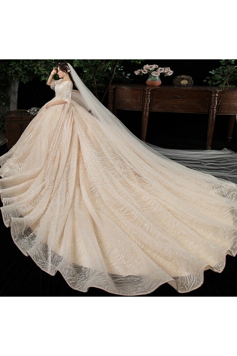 Plus Size 2021 Round Neck Short Puff Sleeves Gorgeous Emboridered Flower Shiny Tulle Wedding Dress With Long Train